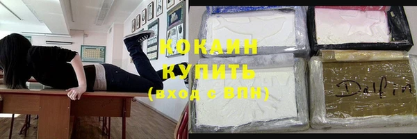 соль ск Дмитров