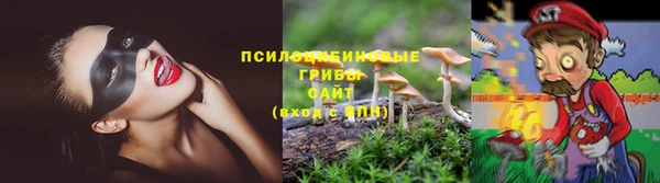 apvp Дмитриев