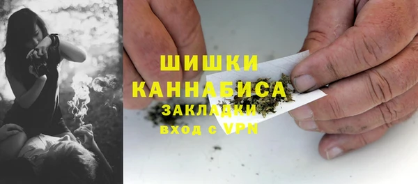 apvp Дмитриев