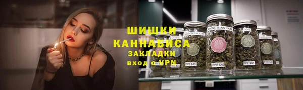 apvp Дмитриев