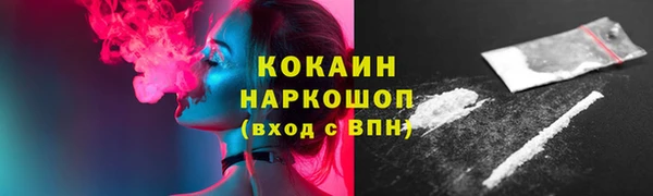 соль ск Дмитров