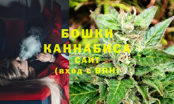 apvp Дмитриев