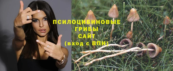 трава Дмитровск