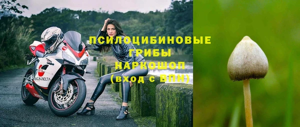 apvp Дмитриев