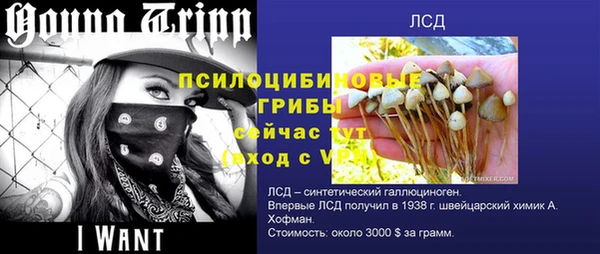 трава Дмитровск