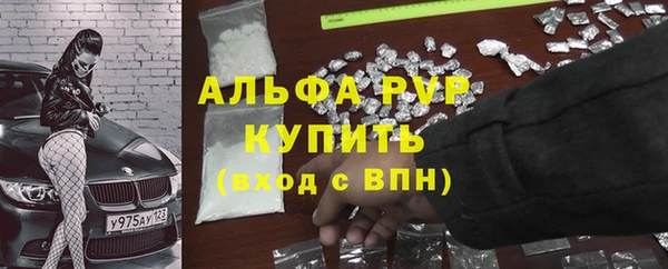 apvp Дмитриев