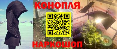 прущие крисы Краснодар