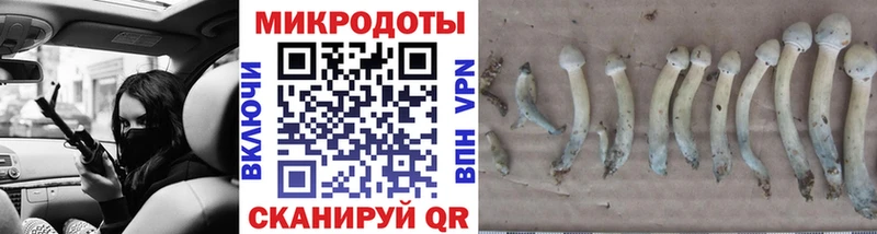 МЕГА маркетплейс  Заволжье  Псилоцибиновые грибы Psilocybe 