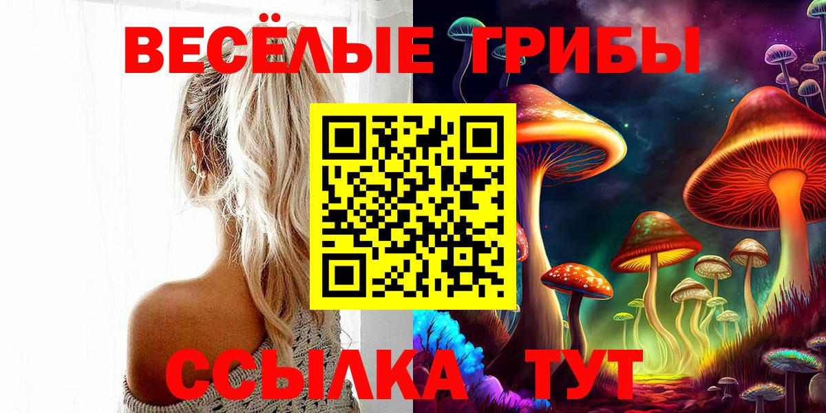 Галлюциногенные грибы Cubensis Заволжье