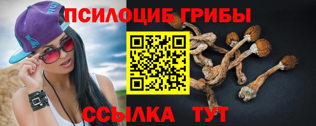 Псилоцибиновые грибы MAGIC MUSHROOMS  Галлюциногенные грибы мухоморы  Заволжье  Вход с VPN 