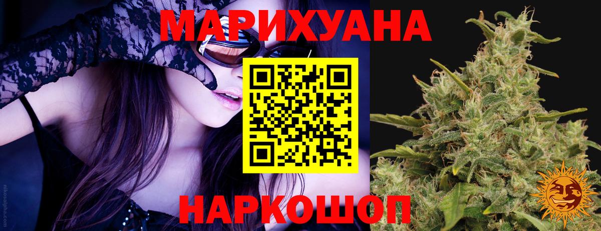 Канабис гибрид Заволжье
